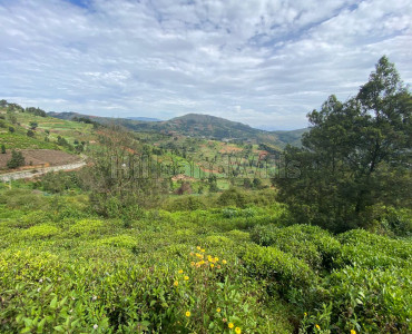 38 cents agriculture land for sale in denaducombai ooty