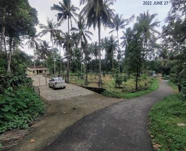 20 cents residential plot for sale in meenangady, sultanbattery, wayanad