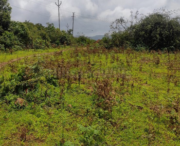34 guntha agriculture land for sale in satara mahabaleshwar