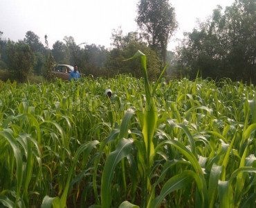 25 guntha agriculture land for sale in wai mahabaleshwar