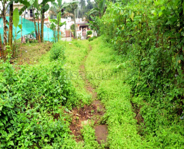 1.5 acres agriculture land for sale in mangalacombu kodaikanal