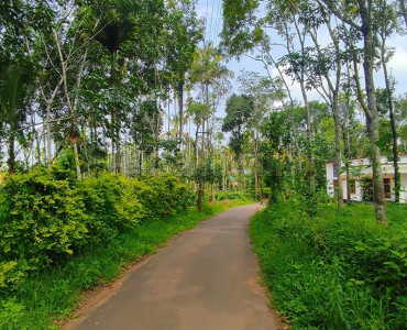 145 cents residential plot for sale in pulpally wayanad