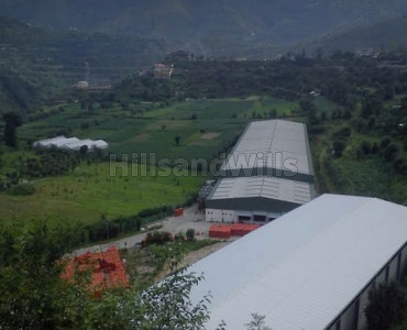 4.5 bigha agriculture land for sale in sainj, theog shimla