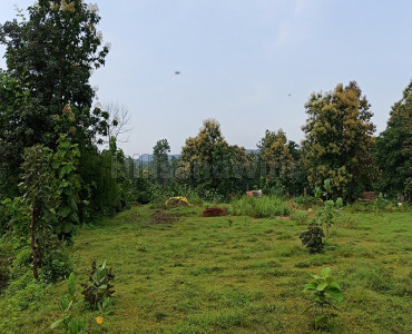 10000 sq.meter residential plot for sale in singanama village pachmarhi