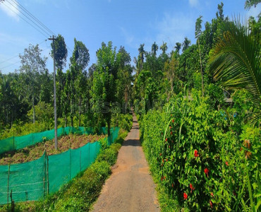 1 acres residential plot for sale in kalluvayal wayanad