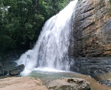 6 acres agriculture land for sale in somwarpet coorg