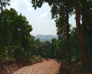 5 acres agriculture land for sale in madikeri coorg