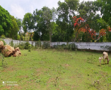 4350 sq.ft. residential plot for sale in athanaur yelagiri