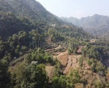 800 bigha commercial land  for sale in solan