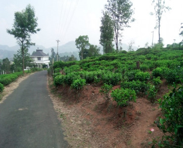 50 cents agriculture land for sale in coonoor