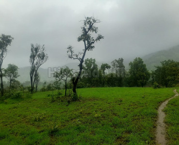 18 acres agriculture land for sale in tapola mahabaleshwar