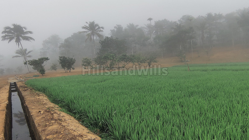₹12 Lac | 20 cents residential plot for sale in kenichira wayanad