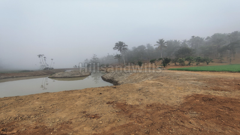 ₹12 Lac | 20 cents residential plot for sale in kenichira wayanad