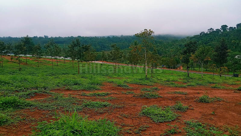 ₹17.25 Lac | 15 cents residential plot for sale in vaduvanchal wayanad