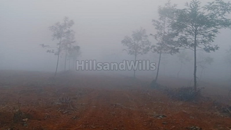 ₹25 Lac | 20 cents residential plot for sale in vaduvanchal wayanad