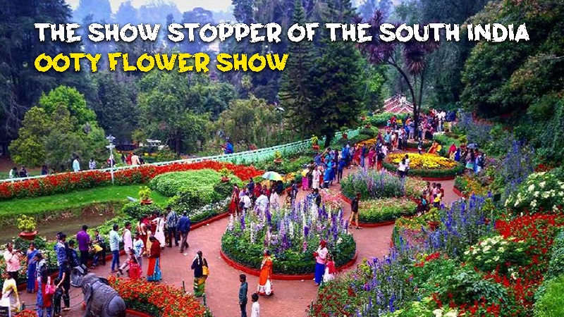 The Show Stopper of the South India - Ooty Flower Show