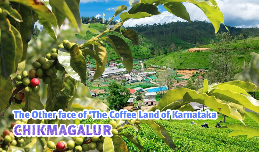 The Other face of ‘The Coffee Land of Karnataka’- Chikmagalur