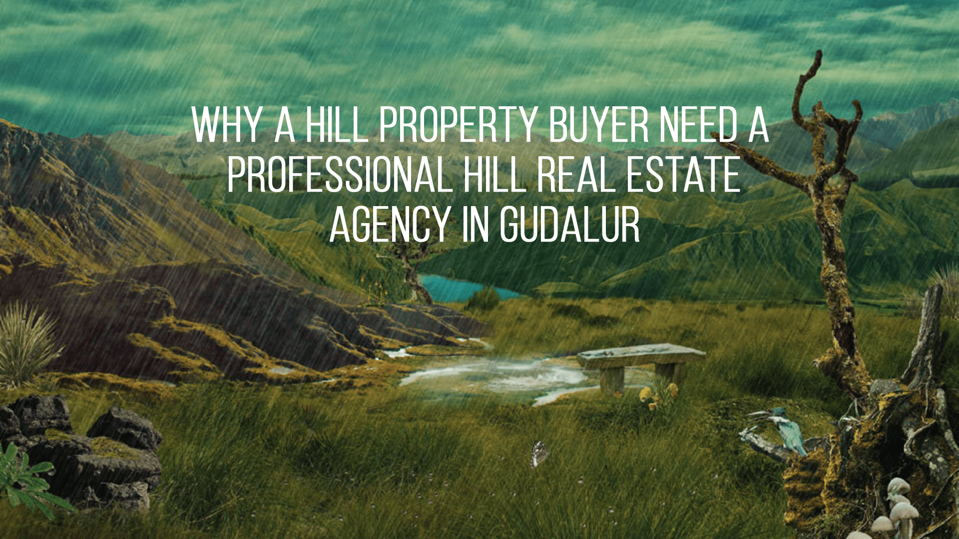 Why a Property Buyer need A  Professional Hill Real Estate Agency Gudalur?